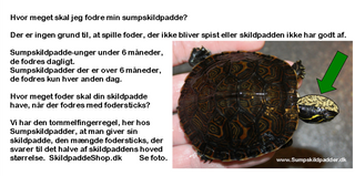 Vi har vores eget kvalitets sumpskildpaddefoder, på www.SkildpaddeShop.dk