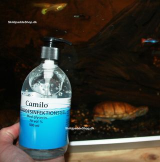 Hånddesinfektion gel. kan benyttes både før og efter du rører ved dine skildpadder og krybdyr.