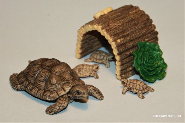 Schleich 42506 Skildpadde familie, mor med tre unger og hus. Mor L 5 x B 3,5 x H 2 cm. Unger L 1,9 x B 1,2 x H 1,3 cm. Produceret i Kina.
Sæt indhold: 1x stor skildpadde, 3x babyskildpadder, 1x salat, 1x skildpaddehus.